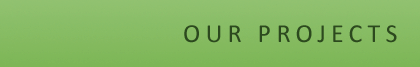 Our Projects